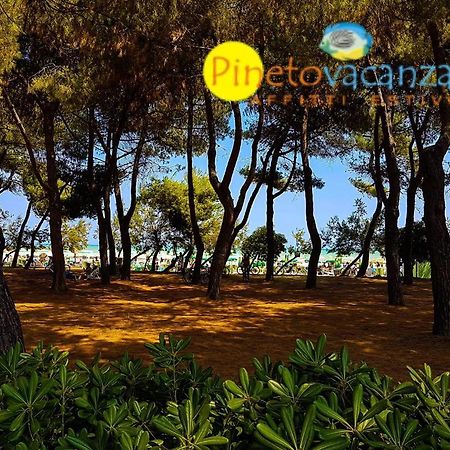 Myconos C2 - Pineto Vacanza Εξωτερικό φωτογραφία