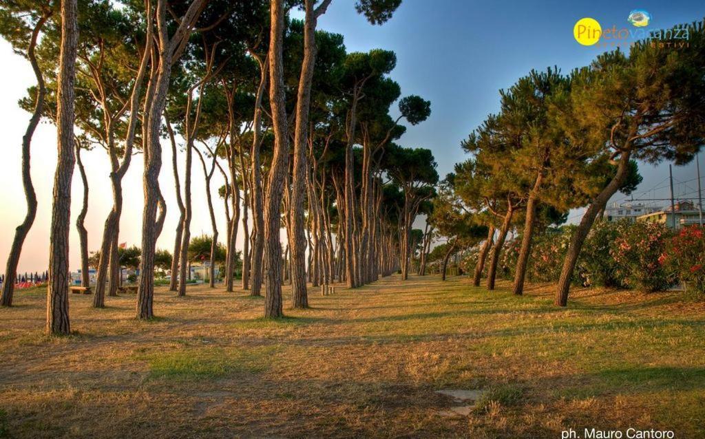 Myconos C2 - Pineto Vacanza Εξωτερικό φωτογραφία